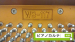 WB-117